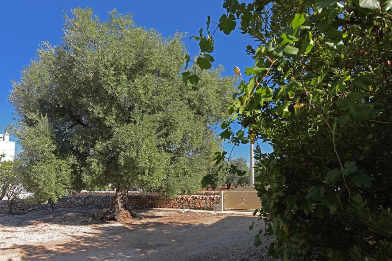 Dimora Torre Bianca Villa Ostuni Buitenkant foto
